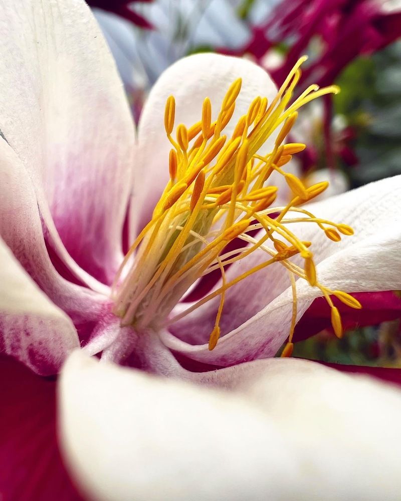 Photograph by Татьяна Волохова