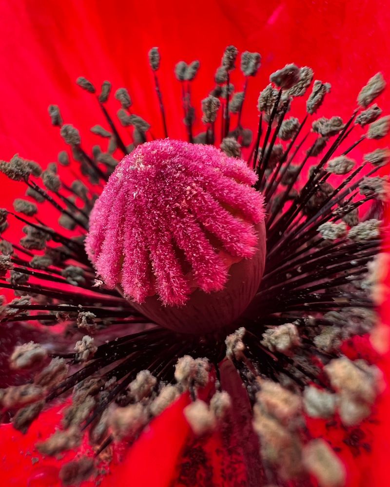 Photograph by Татьяна Волохова