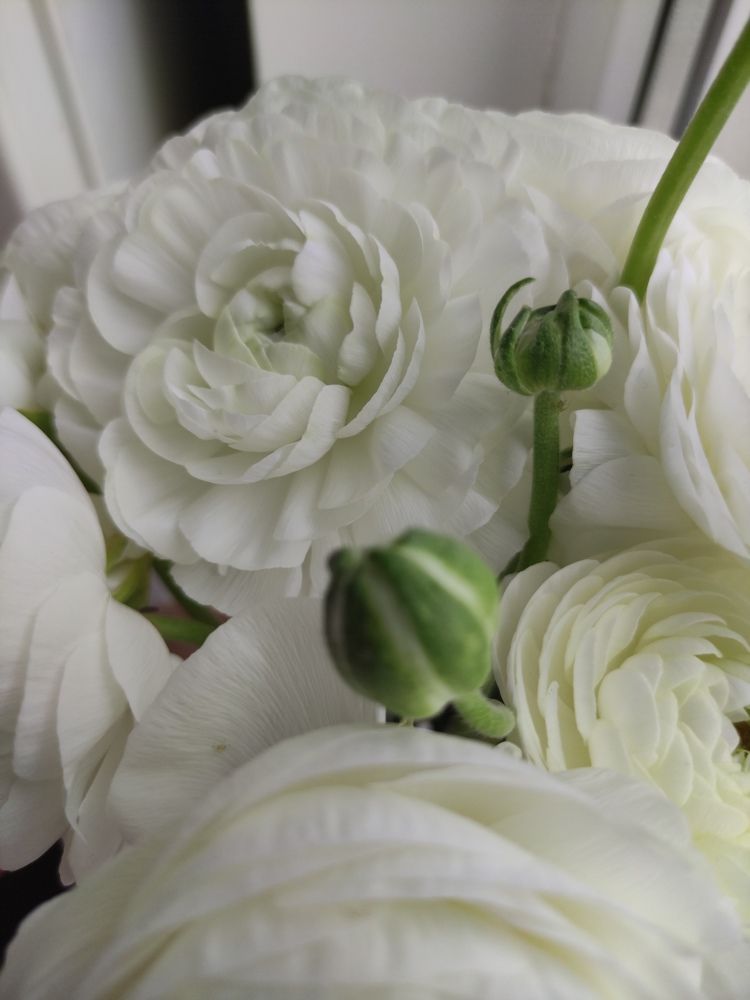 Photograph by Ирина Алексеевская