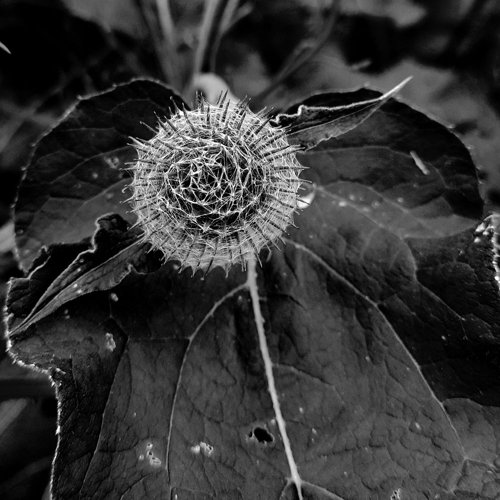 Photograph by Михаил Мироненко