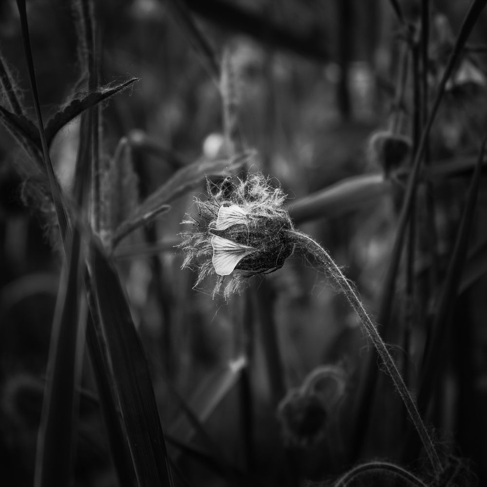 Photograph by Михаил Мироненко