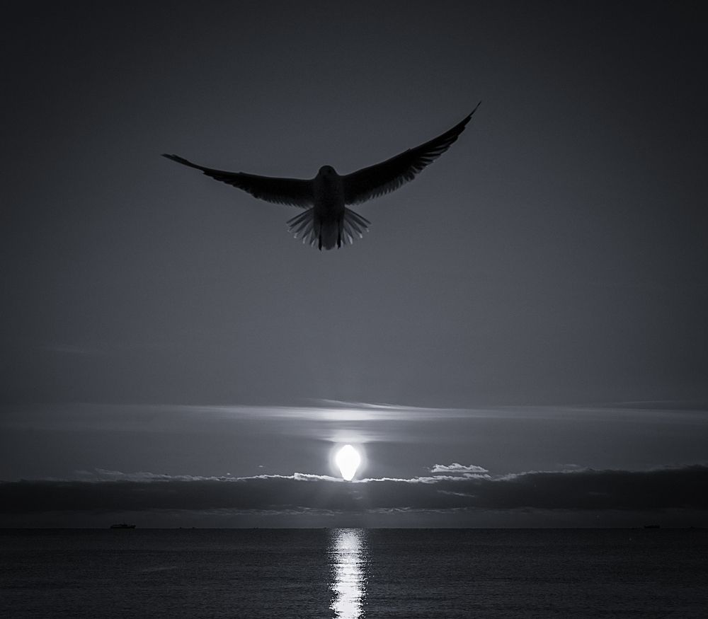 Photograph by Дмитрий Рассыльщиков