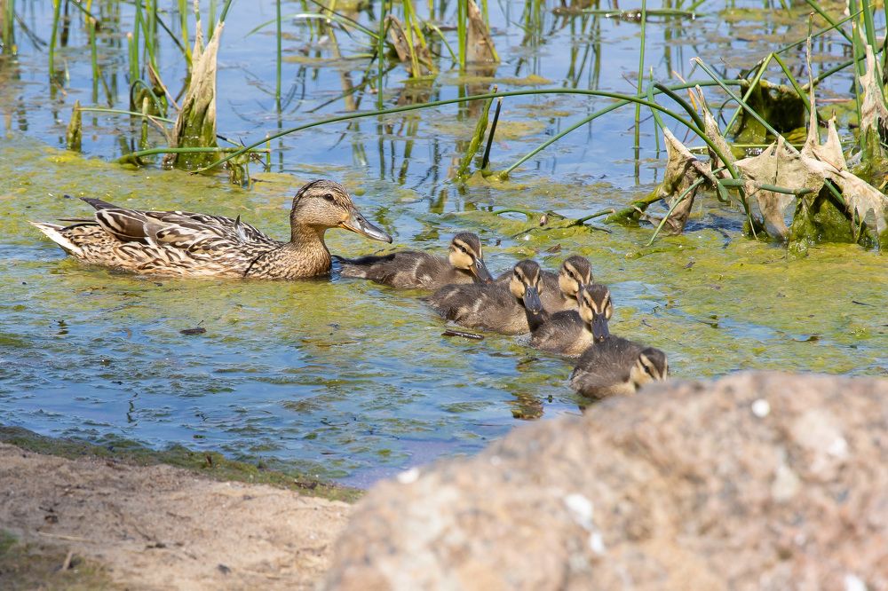 Photograph by Алексей Путилов