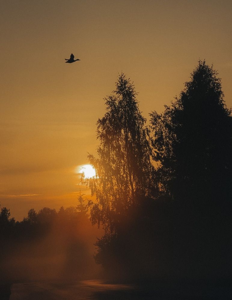 Photograph by Аленa Пономарева