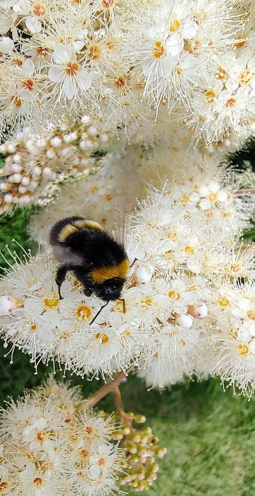 Photograph by Elena Chandran