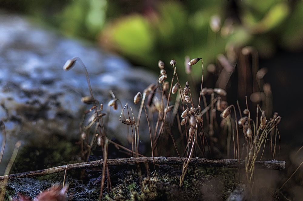 Фотография автора Igor Lukin