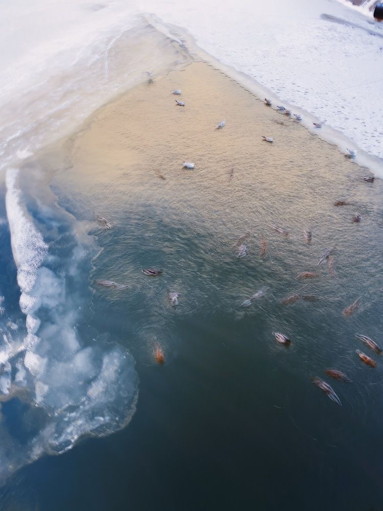 Photograph by Чепрасова Мария