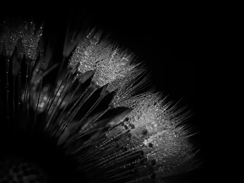 Photograph by Маргарита Смоленская