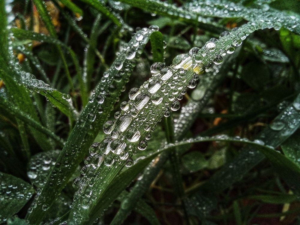 Photograph by Юлия Коробкова