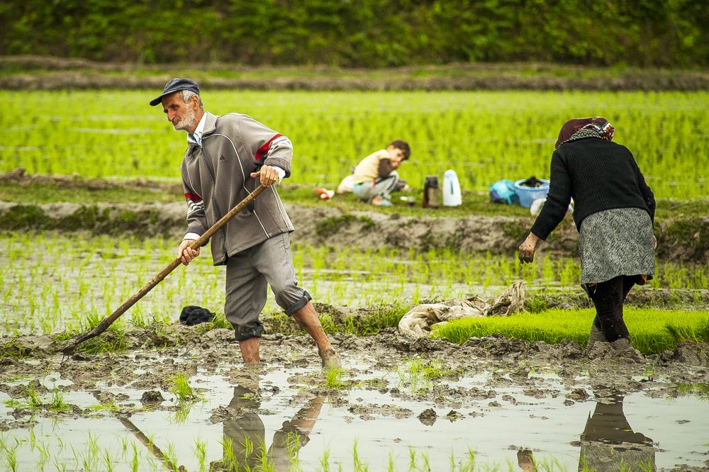 Photograph by DAMOUN POURNEMATI