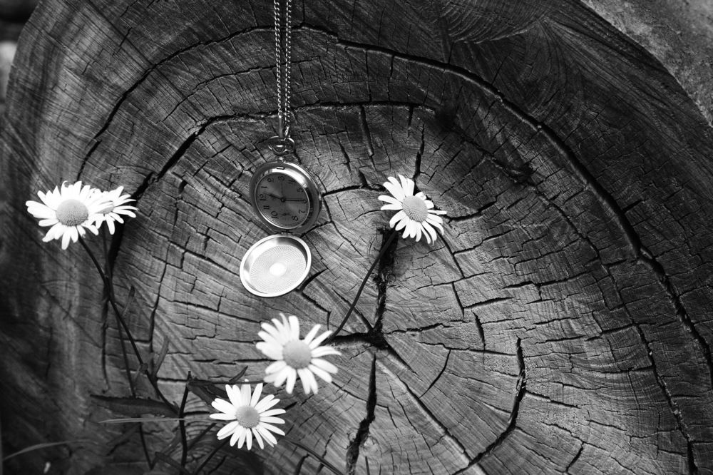 Время...Жизни...!