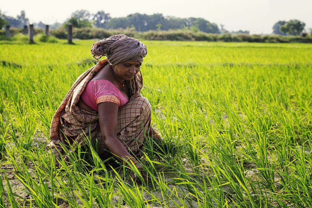 Фотография автора Abhijeet Srivastava