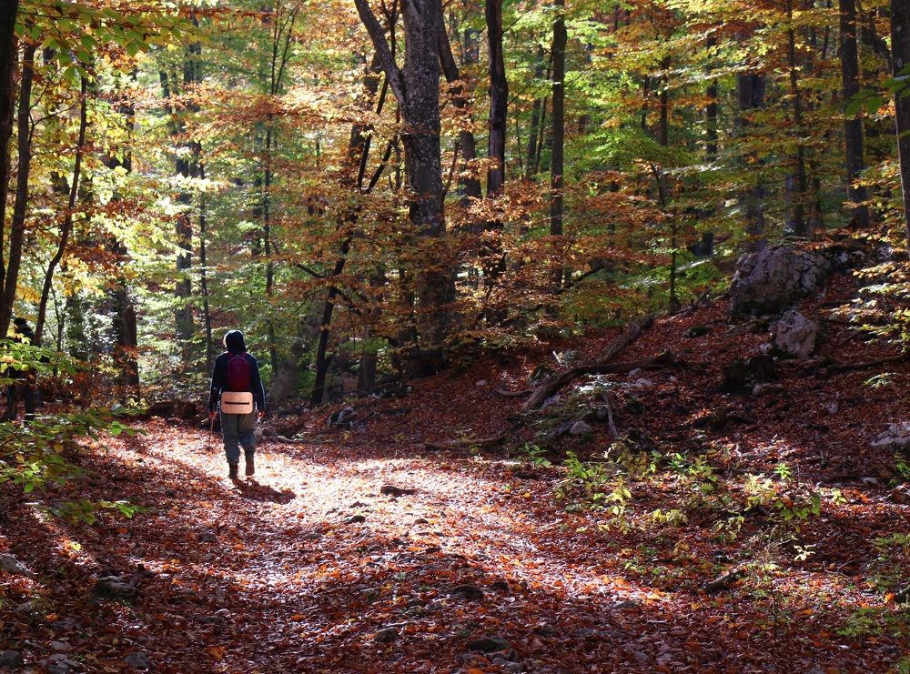 Photograph by Андрей Хитрун