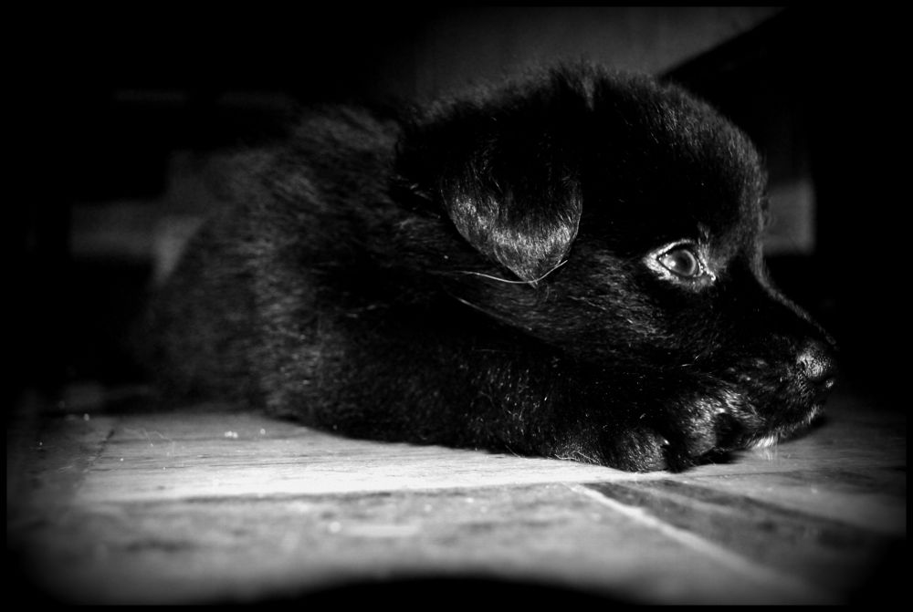 Фотография автора Abhijeet Srivastava