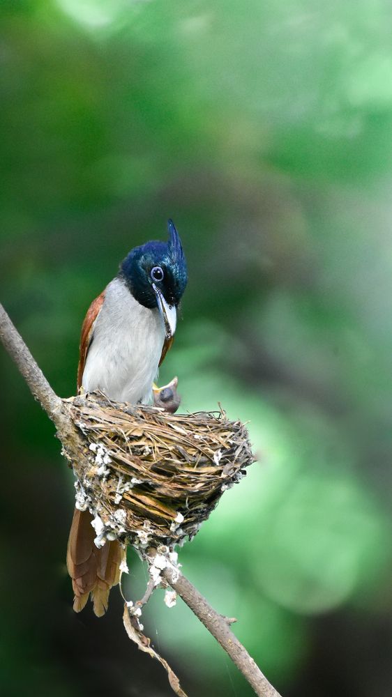 Photograph by Arnab Chakraborty