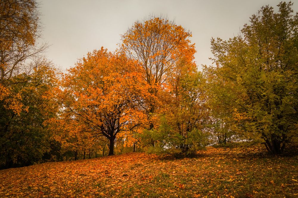 Photograph by Галина Бехметьева