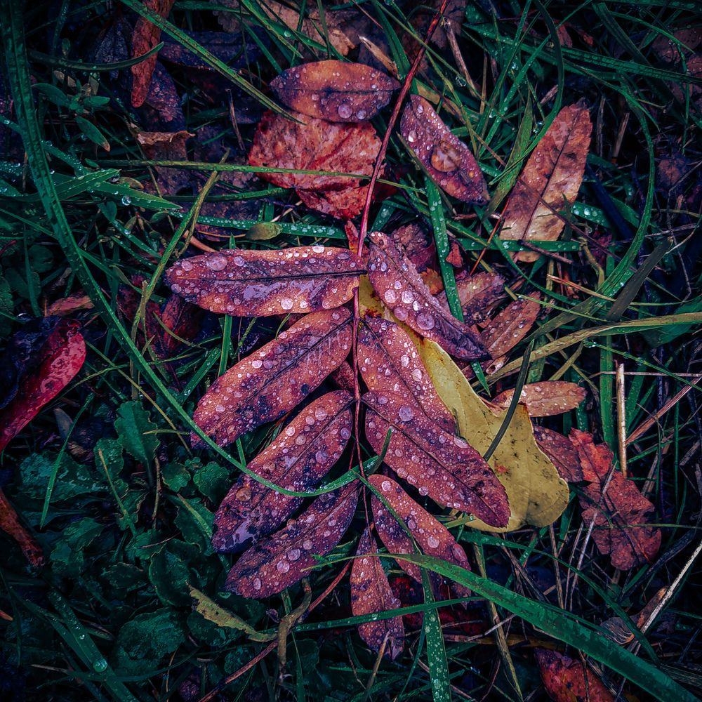 Photograph by Ekaterina Khuzhaeva