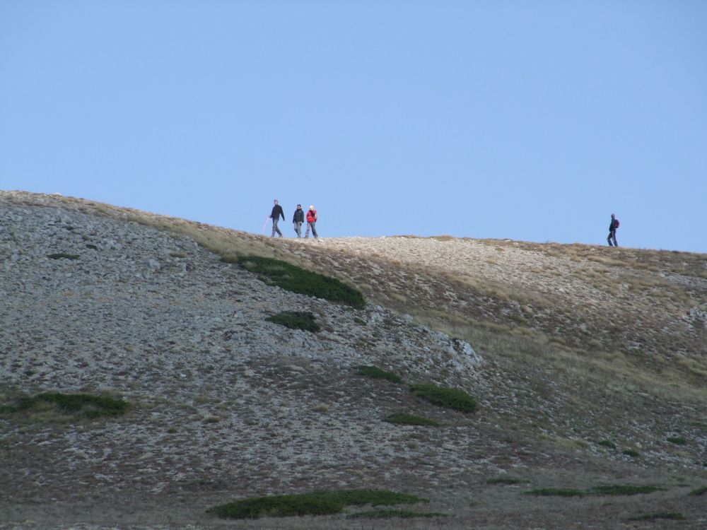 Photograph by Cengiz Yalcin