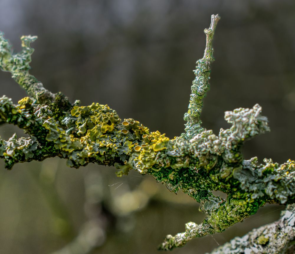 Photograph by Vitalii Kaznin