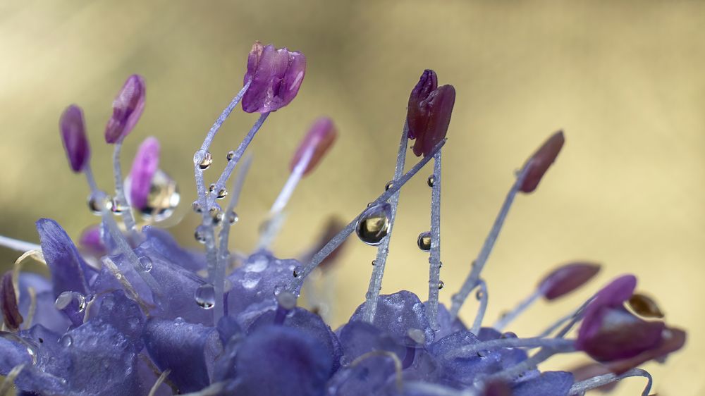 Photograph by Людмила Железнова