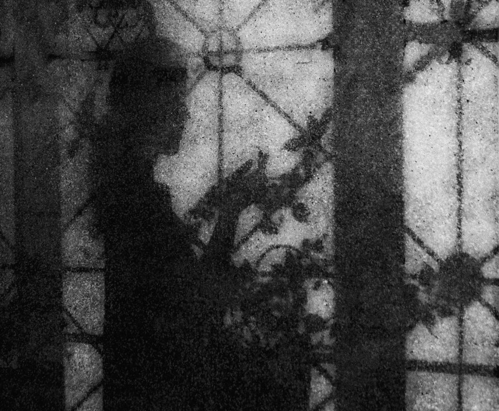 Photograph by Андрей Михайлин