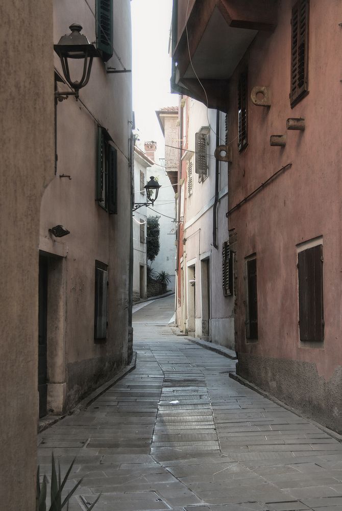 В переулочках Муджии