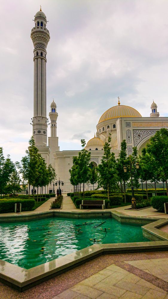 Фотография автора Elena Ku