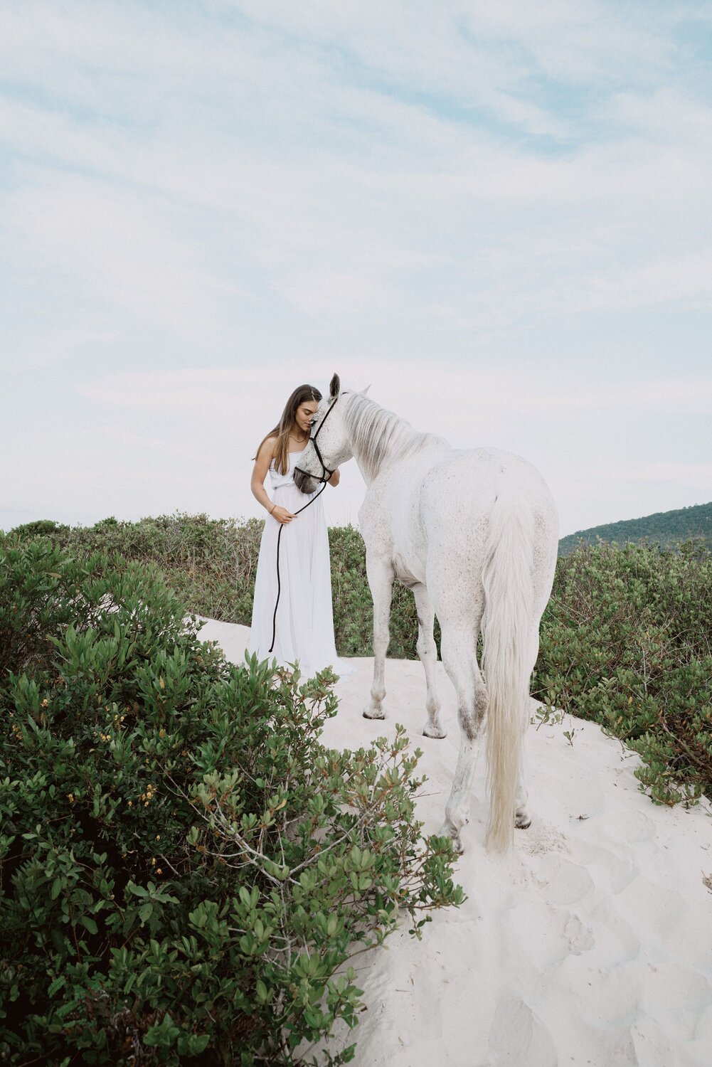 Photo #9530073