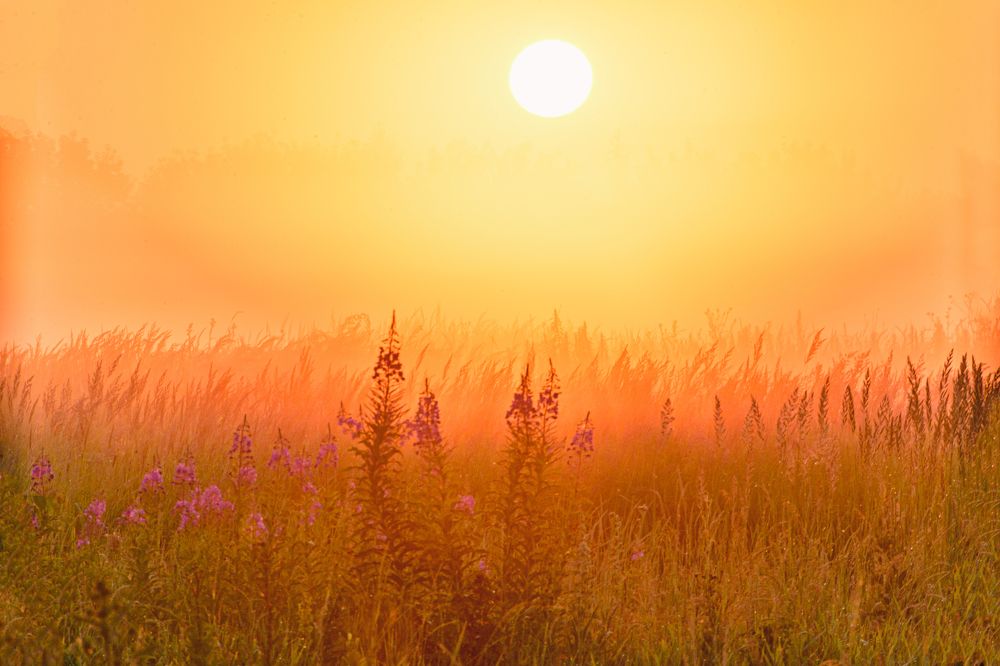 Photograph by Иван Курятников
