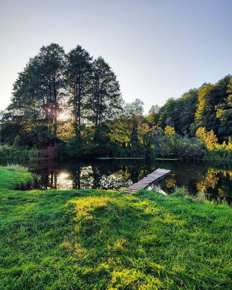 Photograph by Михаил Бородкин