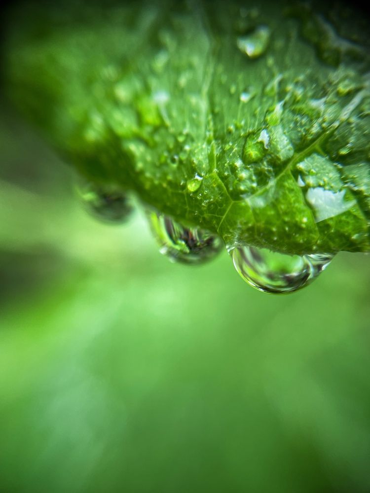 Photograph by Sergei Komlev