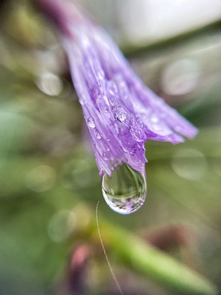 Photograph by Sergei Komlev