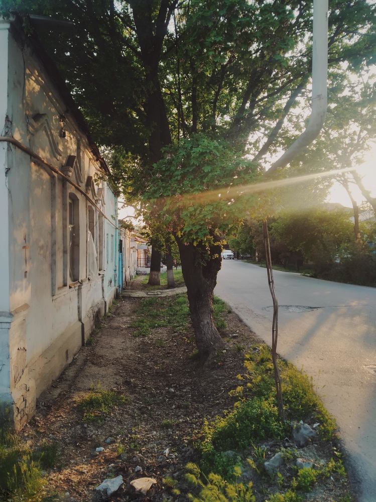 Photograph by Anastasiya Danilova