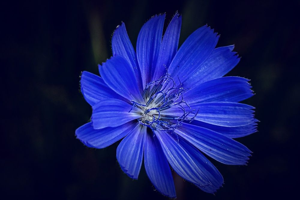 Фотография автора Николай Бологов