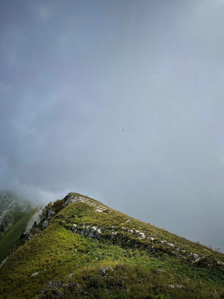 Photograph by Sergei Komlev