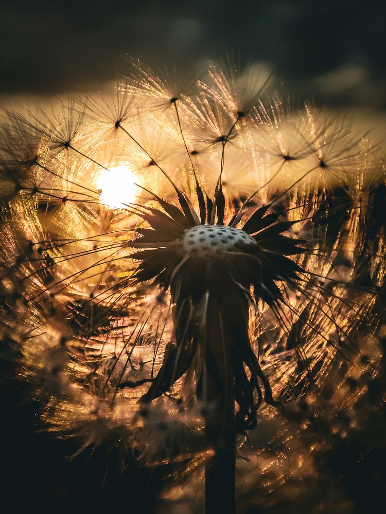 Фотография автора Нина Зинченко