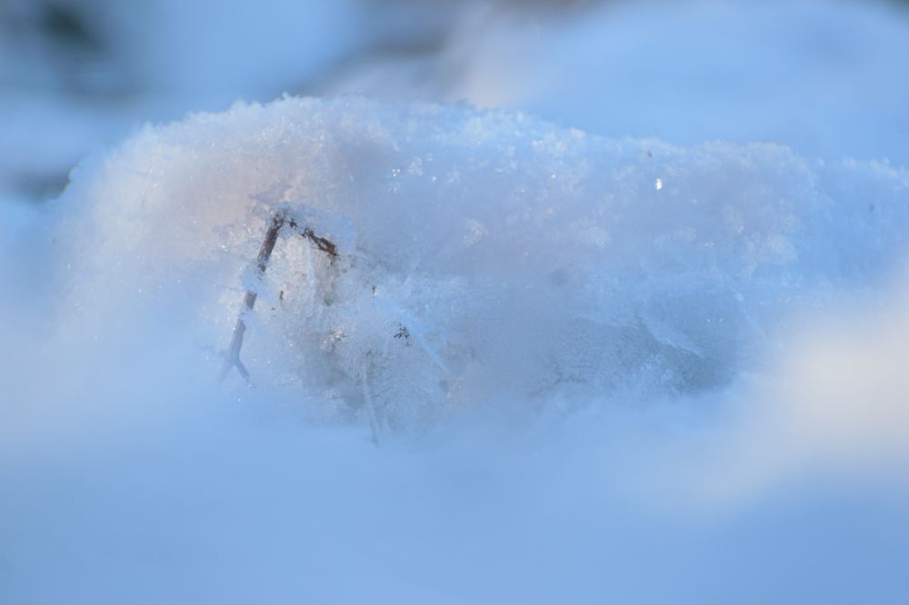 Photograph by Иван Курятников