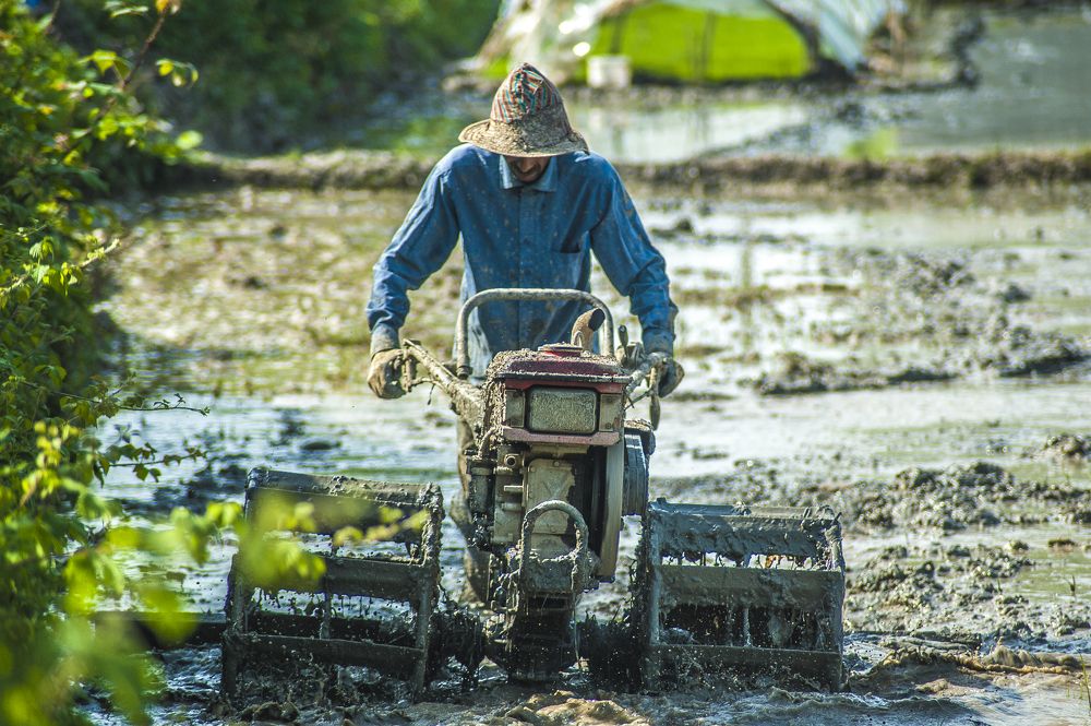 Photograph by DAMOUN POURNEMATI