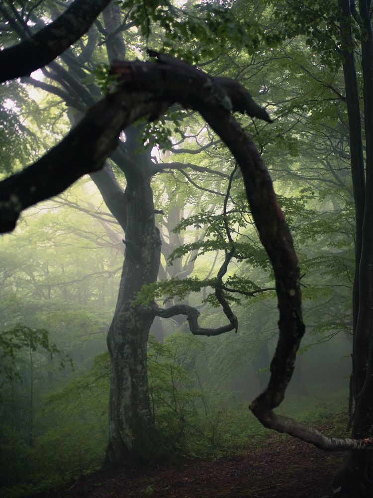 Photograph by Petar Dimitrov