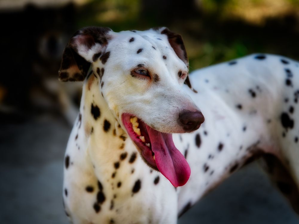 Photograph by Владимир Кваша