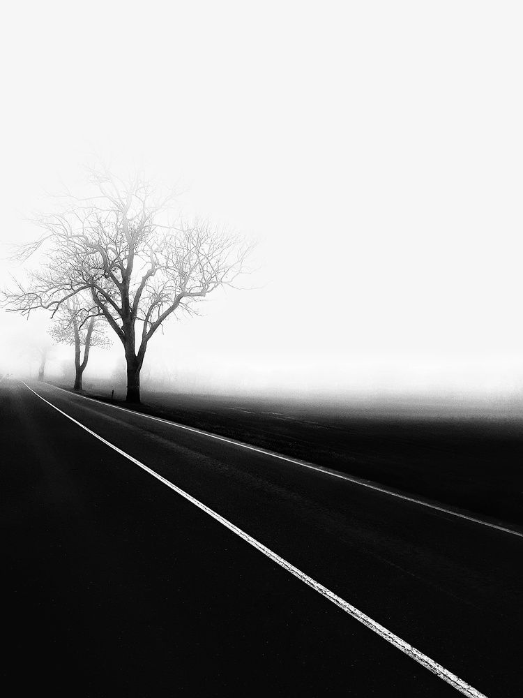 Photograph by Татьяна Максакова