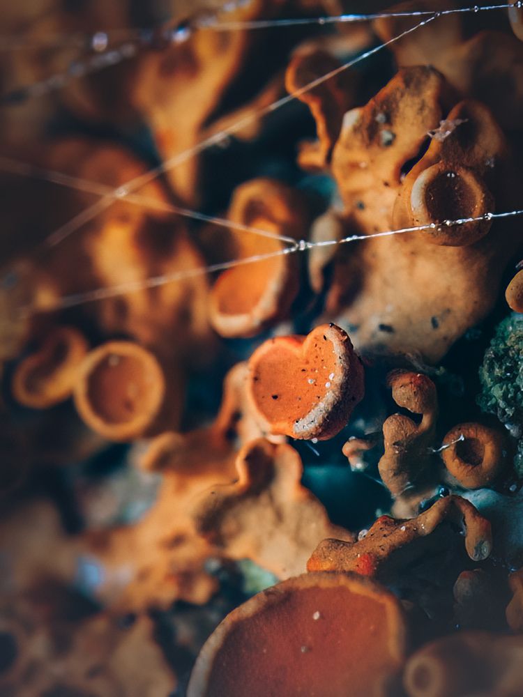 Photograph by Маргарита Смоленская