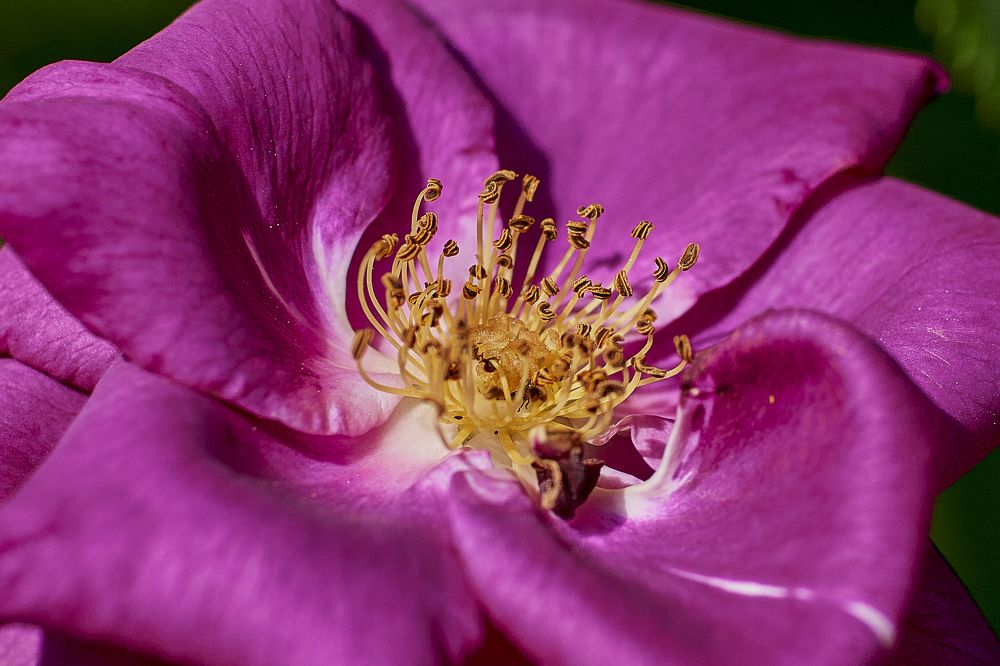 Photograph by Устинов Андрей