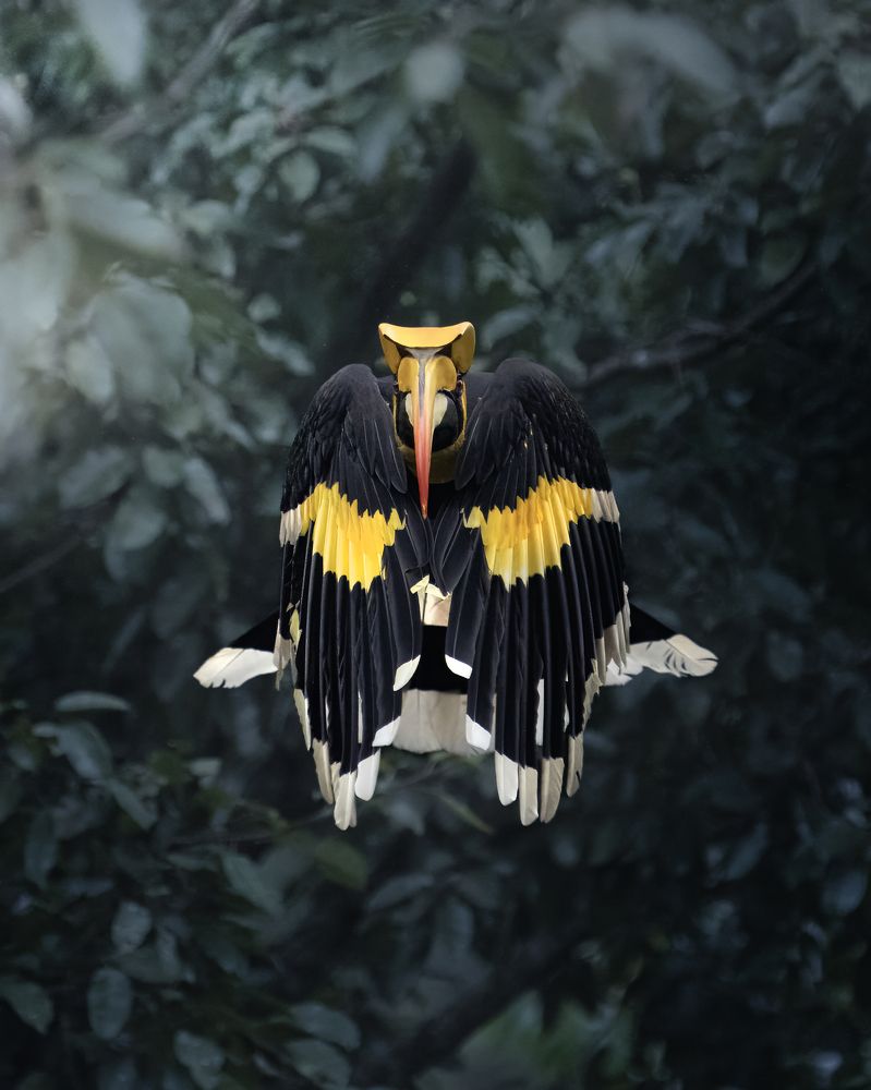 Photograph by Noushadali