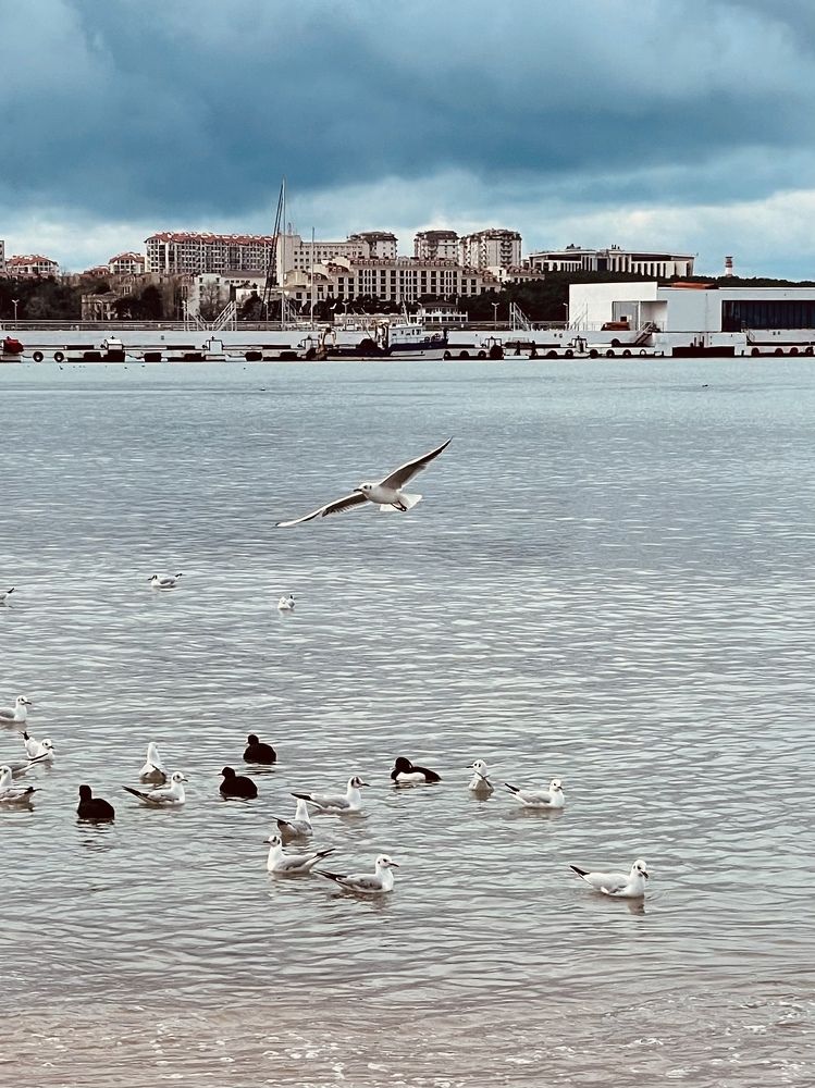 Photograph by Татьяна