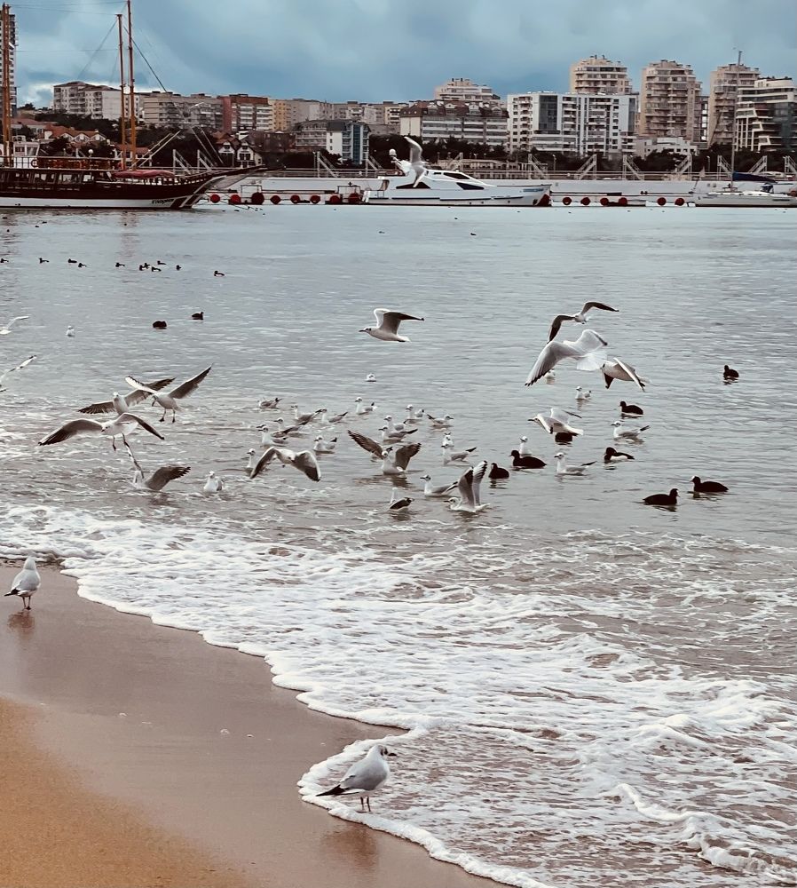 Photograph by Татьяна