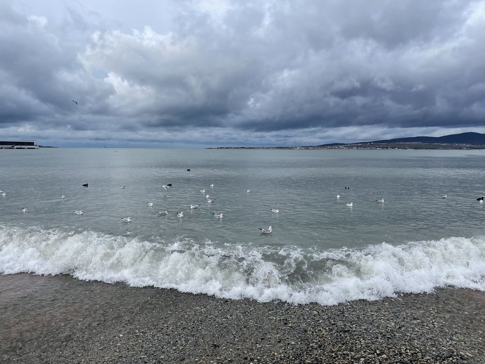 Photograph by Татьяна