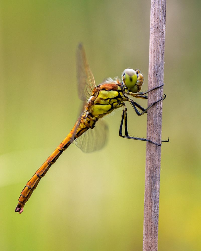 Photograph by Михаил