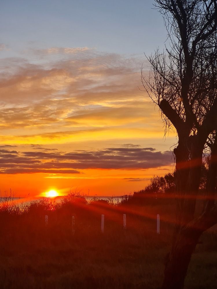 Photograph by Любовь Ершова