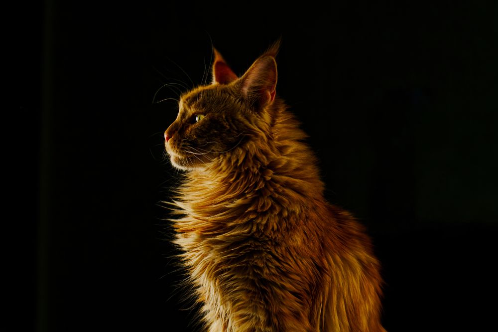 Photograph by 